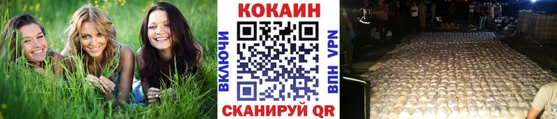 COCAIN Fish Scale  shop как зайти  Новая Ляля 