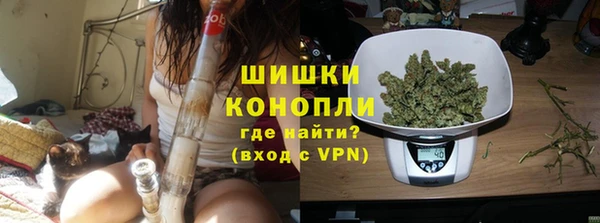 шишки Алексин