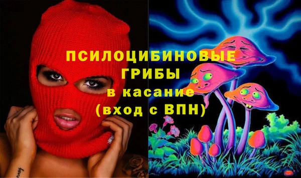 шишки Алексин