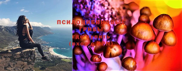марки nbome Алзамай